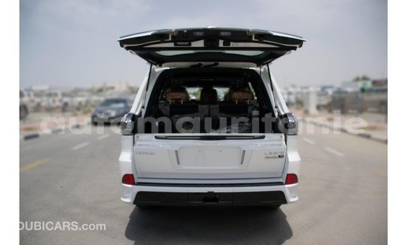 Buy Import Lexus LX White Car in Import - Dubai in Adrar Buy Import Lexus LX White Car in Import - Dubai in Adrar