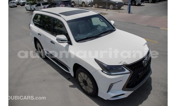 Buy Import Lexus LX White Car in Import - Dubai in Adrar Buy Import Lexus LX White Car in Import - Dubai in Adrar