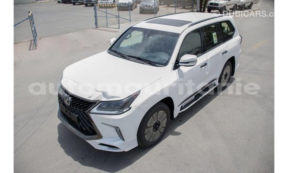 Buy Import Lexus LX White Car in Import - Dubai in Adrar Buy Import Lexus LX White Car in Import - Dubai in Adrar