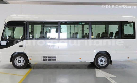 Buy Import Toyota Coaster White Car in Import - Dubai in Adrar Buy Import Toyota Coaster White Car in Import - Dubai in Adrar