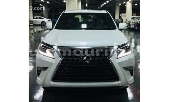 Buy Import Lexus GX White Car in Import - Dubai in Adrar Buy Import Lexus GX White Car in Import - Dubai in Adrar