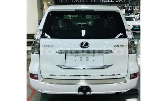 Buy Import Lexus GX White Car in Import - Dubai in Adrar Buy Import Lexus GX White Car in Import - Dubai in Adrar
