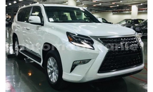Buy Import Lexus GX White Car in Import - Dubai in Adrar Buy Import Lexus GX White Car in Import - Dubai in Adrar