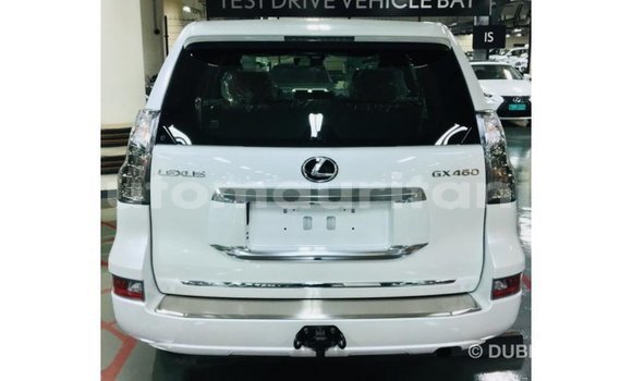 Buy Import Lexus GX White Car in Import - Dubai in Adrar Buy Import Lexus GX White Car in Import - Dubai in Adrar