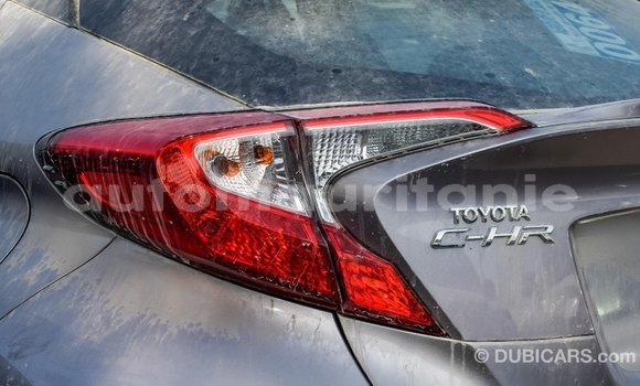 Buy Import Toyota C-HR Other Car in Import - Dubai in Adrar Buy Import Toyota C-HR Other Car in Import - Dubai in Adrar