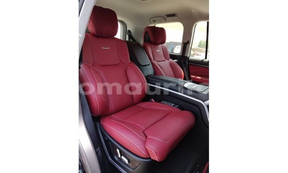 Buy Import Toyota Land Cruiser Red Car in Import - Dubai in Adrar Buy Import Toyota Land Cruiser Red Car in Import - Dubai in Adrar
