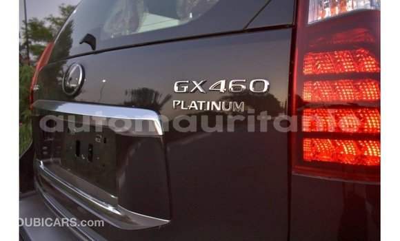Buy Import Lexus GX Black Car in Import - Dubai in Adrar Buy Import Lexus GX Black Car in Import - Dubai in Adrar