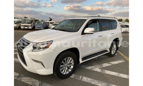 Acheter Import Voiture Lexus GX Blanc à Import - Dubai, Adrar Acheter Import Voiture Lexus GX Blanc à Import - Dubai, Adrar