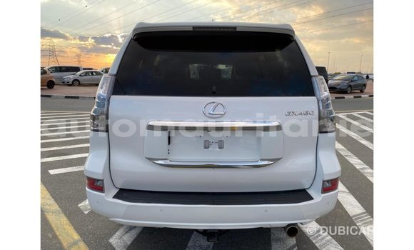 Acheter Import Voiture Lexus GX Blanc à Import - Dubai, Adrar Acheter Import Voiture Lexus GX Blanc à Import - Dubai, Adrar