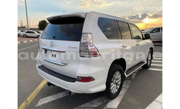Acheter Import Voiture Lexus GX Blanc à Import - Dubai, Adrar Acheter Import Voiture Lexus GX Blanc à Import - Dubai, Adrar