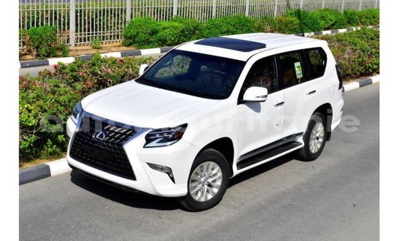 Buy Import Lexus GX White Car in Import - Dubai in Adrar Buy Import Lexus GX White Car in Import - Dubai in Adrar