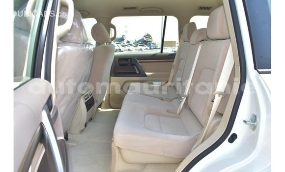 Buy Import Toyota Land Cruiser White Car in Import - Dubai in Adrar Buy Import Toyota Land Cruiser White Car in Import - Dubai in Adrar