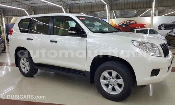 Buy Import Toyota Prado White Car in Import - Dubai in Adrar Buy Import Toyota Prado White Car in Import - Dubai in Adrar