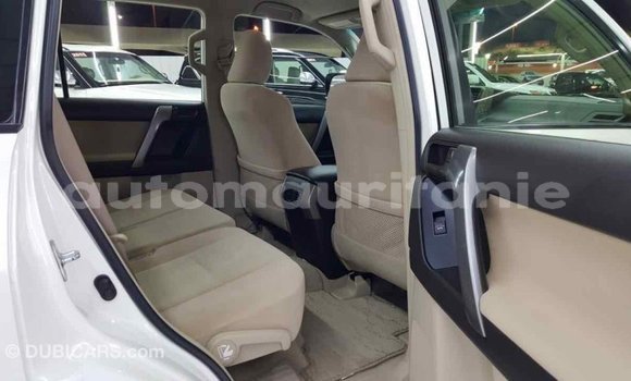 Buy Import Toyota Prado White Car in Import - Dubai in Adrar Buy Import Toyota Prado White Car in Import - Dubai in Adrar