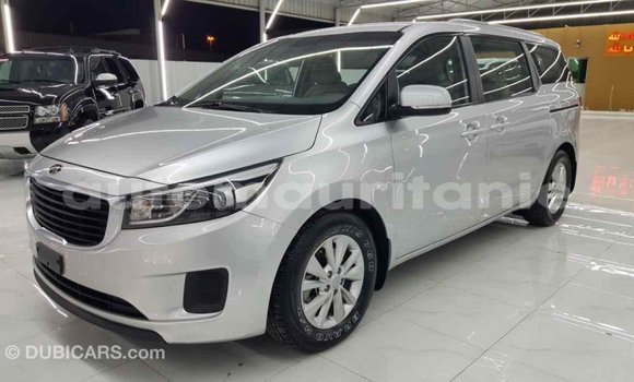 Buy Import Kia Carnival Other Car in Import - Dubai in Adrar Buy Import Kia Carnival Other Car in Import - Dubai in Adrar
