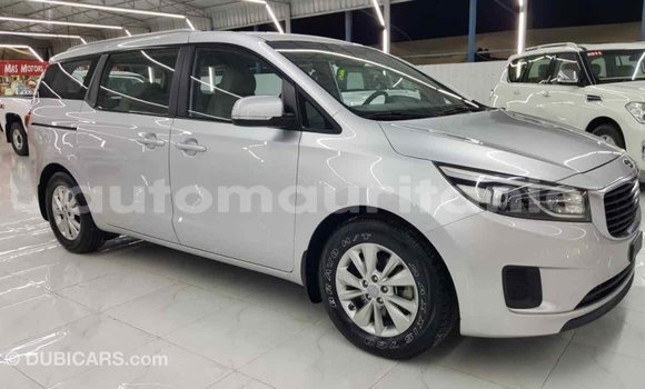 Buy Import Kia Carnival Other Car in Import - Dubai in Adrar Buy Import Kia Carnival Other Car in Import - Dubai in Adrar
