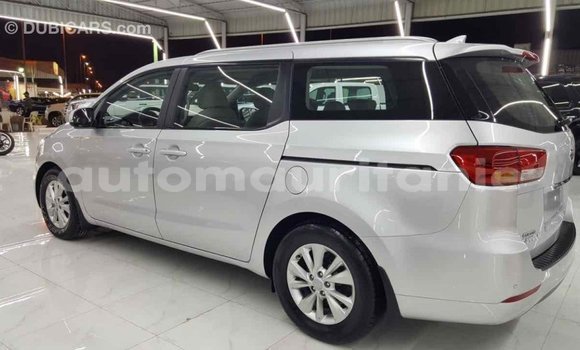 Buy Import Kia Carnival Other Car in Import - Dubai in Adrar Buy Import Kia Carnival Other Car in Import - Dubai in Adrar