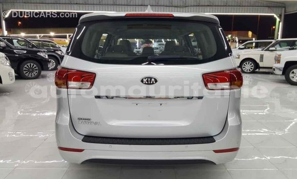 Buy Import Kia Carnival Other Car in Import - Dubai in Adrar Buy Import Kia Carnival Other Car in Import - Dubai in Adrar