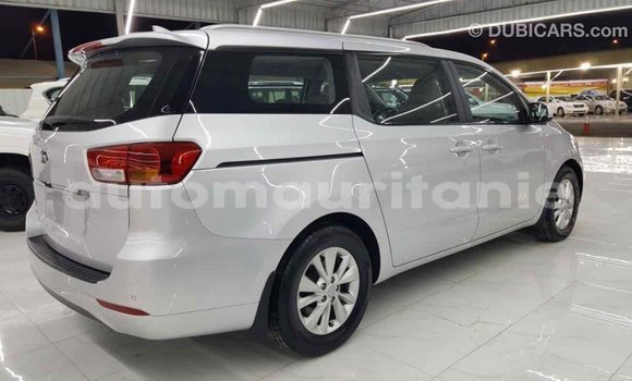 Buy Import Kia Carnival Other Car in Import - Dubai in Adrar Buy Import Kia Carnival Other Car in Import - Dubai in Adrar