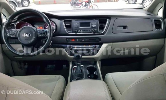 Buy Import Kia Carnival Other Car in Import - Dubai in Adrar Buy Import Kia Carnival Other Car in Import - Dubai in Adrar