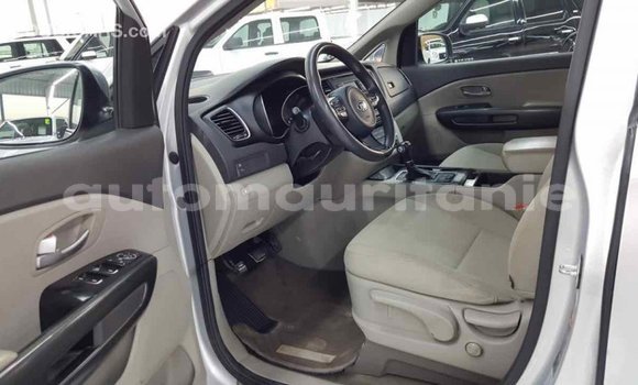 Buy Import Kia Carnival Other Car in Import - Dubai in Adrar Buy Import Kia Carnival Other Car in Import - Dubai in Adrar