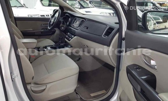 Buy Import Kia Carnival Other Car in Import - Dubai in Adrar Buy Import Kia Carnival Other Car in Import - Dubai in Adrar