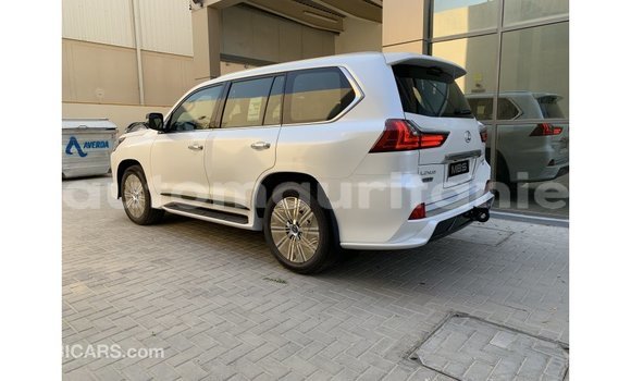Buy Import Lexus LX White Car in Import - Dubai in Adrar Buy Import Lexus LX White Car in Import - Dubai in Adrar