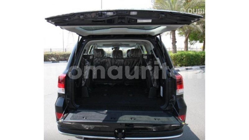 Big with watermark dd8db3ad 0492 44e8 a449 5c5cd8700bf4