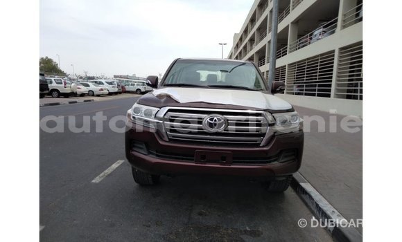 Buy Import Toyota Land Cruiser Brown Car in Import - Dubai in Adrar Buy Import Toyota Land Cruiser Brown Car in Import - Dubai in Adrar