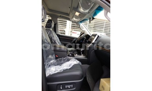 Buy Import Toyota Land Cruiser Brown Car in Import - Dubai in Adrar Buy Import Toyota Land Cruiser Brown Car in Import - Dubai in Adrar
