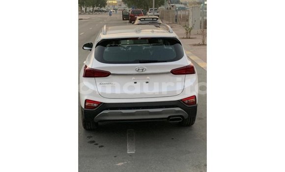 Acheter Import Voiture Hyundai Santa Fe Blanc à Import - Dubai, Adrar Acheter Import Voiture Hyundai Santa Fe Blanc à Import - Dubai, Adrar