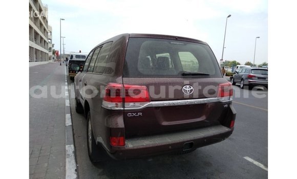 Buy Import Toyota Land Cruiser Brown Car in Import - Dubai in Adrar Buy Import Toyota Land Cruiser Brown Car in Import - Dubai in Adrar