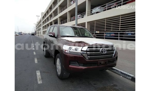 Buy Import Toyota Land Cruiser Brown Car in Import - Dubai in Adrar Buy Import Toyota Land Cruiser Brown Car in Import - Dubai in Adrar
