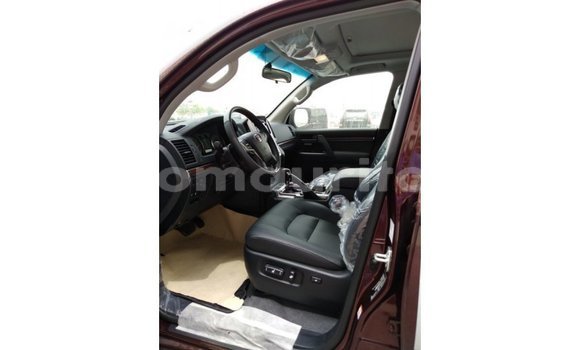 Buy Import Toyota Land Cruiser Brown Car in Import - Dubai in Adrar Buy Import Toyota Land Cruiser Brown Car in Import - Dubai in Adrar