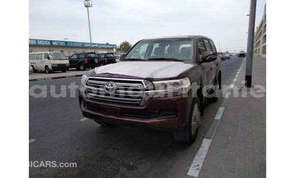Buy Import Toyota Land Cruiser Brown Car in Import - Dubai in Adrar Buy Import Toyota Land Cruiser Brown Car in Import - Dubai in Adrar