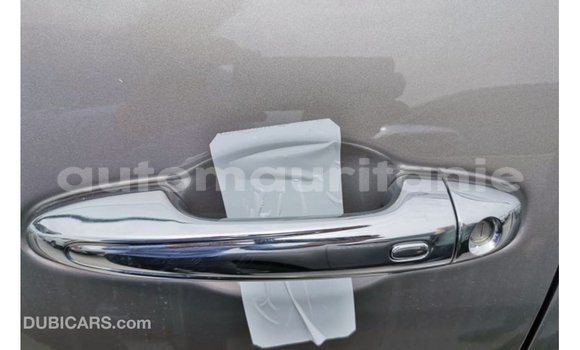 Buy Import Toyota Hilux Brown Car in Import - Dubai in Adrar Buy Import Toyota Hilux Brown Car in Import - Dubai in Adrar