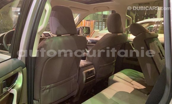 Buy Import Lexus GX Other Car in Import - Dubai in Adrar Buy Import Lexus GX Other Car in Import - Dubai in Adrar