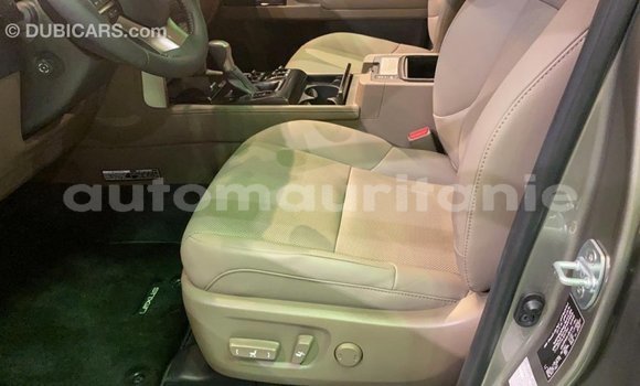 Buy Import Lexus GX Other Car in Import - Dubai in Adrar Buy Import Lexus GX Other Car in Import - Dubai in Adrar