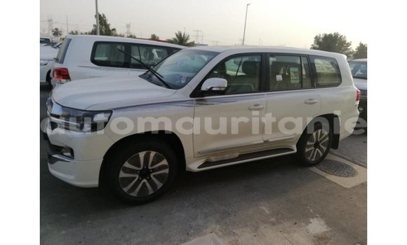 Acheter Import Voiture Toyota Land Cruiser Blanc à Import - Dubai, Adrar Acheter Import Voiture Toyota Land Cruiser Blanc à Import - Dubai, Adrar