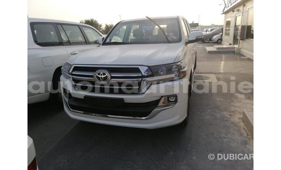 Acheter Import Voiture Toyota Land Cruiser Blanc à Import - Dubai, Adrar Acheter Import Voiture Toyota Land Cruiser Blanc à Import - Dubai, Adrar