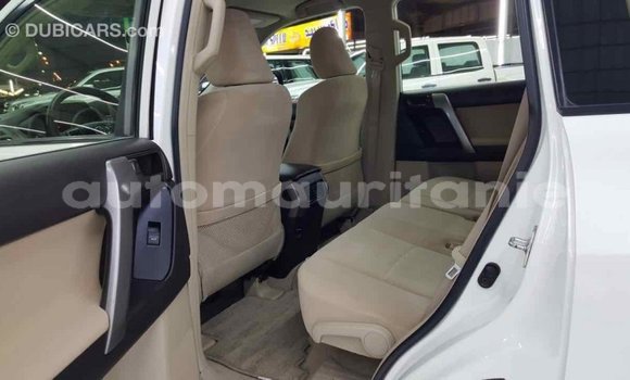 Buy Import Toyota Prado White Car in Import - Dubai in Adrar Buy Import Toyota Prado White Car in Import - Dubai in Adrar