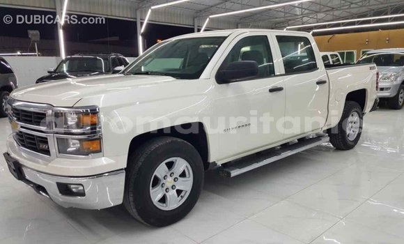 Buy Import Chevrolet Silverado White Car in Import - Dubai in Adrar Buy Import Chevrolet Silverado White Car in Import - Dubai in Adrar