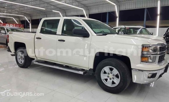 Buy Import Chevrolet Silverado White Car in Import - Dubai in Adrar Buy Import Chevrolet Silverado White Car in Import - Dubai in Adrar