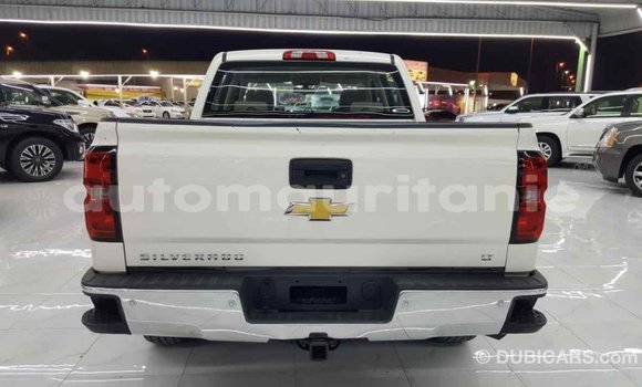 Buy Import Chevrolet Silverado White Car in Import - Dubai in Adrar Buy Import Chevrolet Silverado White Car in Import - Dubai in Adrar