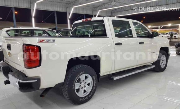 Buy Import Chevrolet Silverado White Car in Import - Dubai in Adrar Buy Import Chevrolet Silverado White Car in Import - Dubai in Adrar