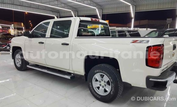 Buy Import Chevrolet Silverado White Car in Import - Dubai in Adrar Buy Import Chevrolet Silverado White Car in Import - Dubai in Adrar