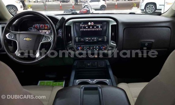 Buy Import Chevrolet Silverado White Car in Import - Dubai in Adrar Buy Import Chevrolet Silverado White Car in Import - Dubai in Adrar