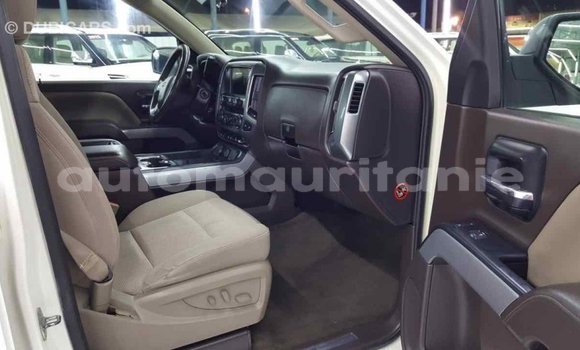 Buy Import Chevrolet Silverado White Car in Import - Dubai in Adrar Buy Import Chevrolet Silverado White Car in Import - Dubai in Adrar