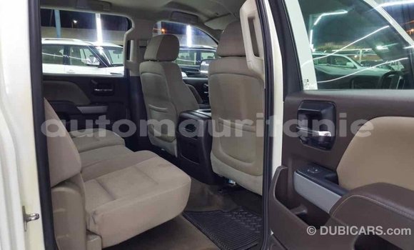 Buy Import Chevrolet Silverado White Car in Import - Dubai in Adrar Buy Import Chevrolet Silverado White Car in Import - Dubai in Adrar