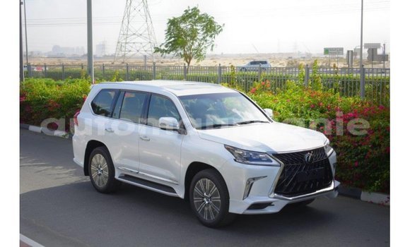 Buy Import Lexus LX White Car in Import - Dubai in Adrar Buy Import Lexus LX White Car in Import - Dubai in Adrar